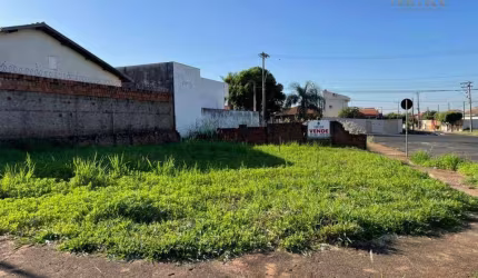 Terreno à venda, 281 m² por R$ 175.000 - Residencial Nato Vetorasso - São José do Rio Preto/SP