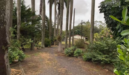 Chácara com 3 dormitórios à venda, 6000 m² por R$ 1.800.000 - Loteamento San Fernando Valley - São José do Rio Preto/SP