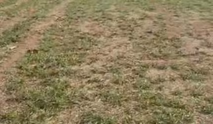 Terreno em Condomínio para Venda em São José dos Campos, Loteamento Fazenda Ronda