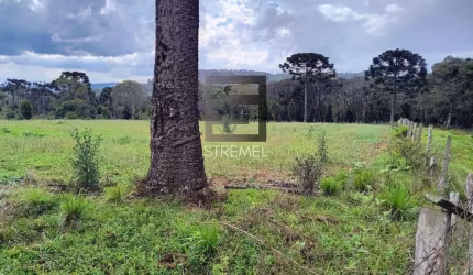 Área Rural para Venda em Guarapuava, Guará