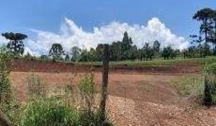 Terreno para Venda em Guarapuava, Morro Alto
