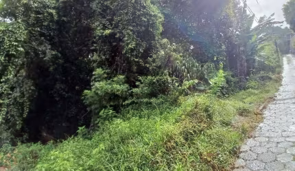 Terreno à venda na Rua João Emília Batista, 1, Saco Grande, Florianópolis por R$ 2.970.000