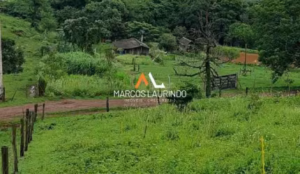 Sítio em Conjunto Habitacional Jamile Dequech, Londrina/PR