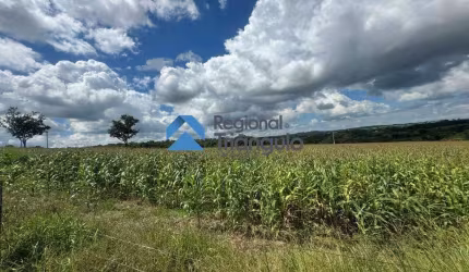 Chacara na Região da Alegria