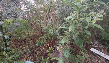 Terreno fechado a venda na Av. Santa Inês