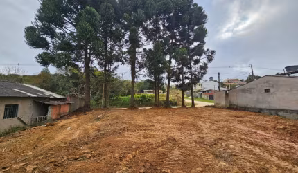 OPORTUNIDADE