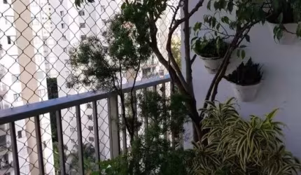 Incrível Oportunidade: Apartamento à Venda no Forest Hills, Marajoara!