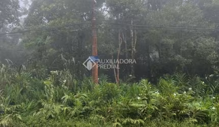 Terreno em condomínio fechado à venda na Genciana, 1, Jardim Clube de Campo, Santo André, 1300 m2 por R$ 215.000