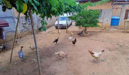 Vendo lote no Barreiro.