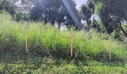 TERRENO 844,80M2  RUA SANTA CLARA BOMSUCESSO SAQUAREMA RJ