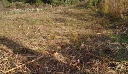 Terreno à venda no bairro São Giácomo - Caxias do Sul/RS
