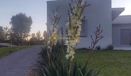 Chácara com excelente casa