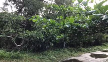 Chácara para Venda, Itanhaém / SP