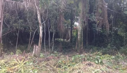 Terreno para Venda, Itanhaém / SP