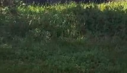 Terreno para Venda, Itanhaém / SP