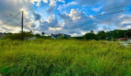 Terreno para Venda, Itanhaém / SP