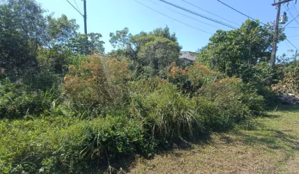 Terreno para Venda, Itanhaém / SP