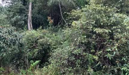 terreno em condomínio de frente à rodovia em Iguape