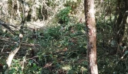 Terreno sendo lote inteiro à 800 metros do mar em Itanhaém
