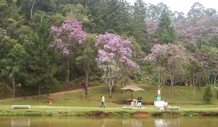 Pesqueiro para Venda em Itapecerica da Serra / SP no bairro Potuverá