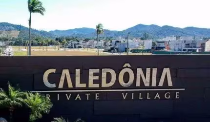 Caledônia  Camboriú