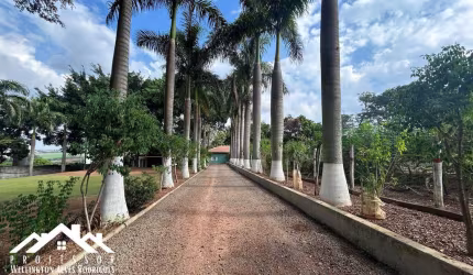 Chácara de 10.000m² no Bairro do Pinhal em Limeira-SP