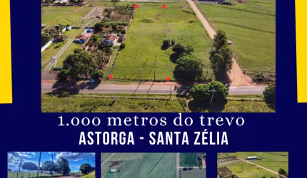 5.000 m² as margens da rodovia Astorga - Sta Zélia