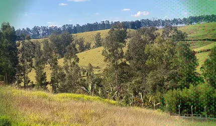 Venda de terreno de chácara em Bandeira do Sul
