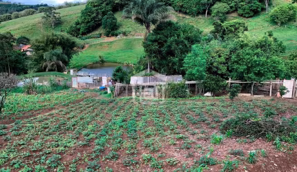 Venda de Sítio em Bandeira do Sul