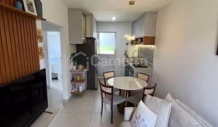 Casa para locação, Jardim Laudissi, Santa Bárbara D'Oeste, SP