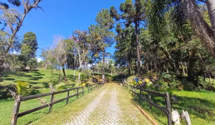Chácara - Contenda - São José dos Pinhais - Pr