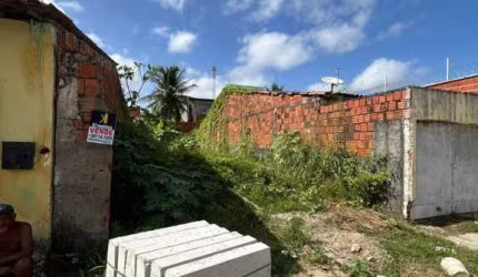 Terreno para Venda em Fortaleza, Conjunto Palmeiras