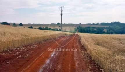 Terreno Plano com 5.000m² Para Alugar em Londrina