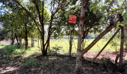 Terreno para alugar com 3.000m² em Londrina