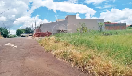 Terreno 30,15 x 12,06  para venda em Arapongas