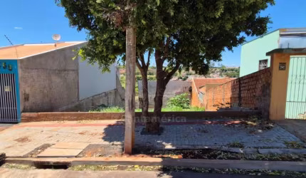 Terreno Residencial para Venda no Alto da Boa Vista, região Norte