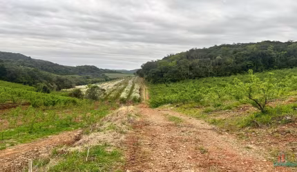 Terreno à venda na Travessão Cremona, Ana Rech, Caxias do Sul por R$ 550.000