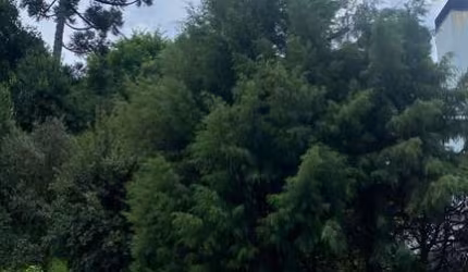 Terreno à venda na Rua Pedro Pezzi, 645, Panazzolo, Caxias do Sul por R$ 550.000