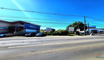 Terreno comercial para alugar na Estrada Federal Br 116, 15315, São Ciro, Caxias do Sul por R$ 6.000