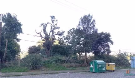 Terreno à venda na Rua Pedro Pezzi, Panazzolo, Caxias do Sul por R$ 4.250.000