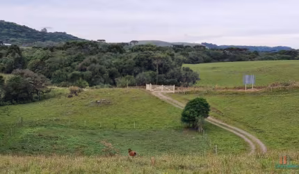 Fazenda à venda na Principal, Vila Oliva (Distrito), Caxias do Sul