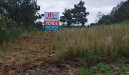 Terreno à venda na Rua Julia De Carli Paglioli, 03, São Luiz, Caxias do Sul por R$ 150.000
