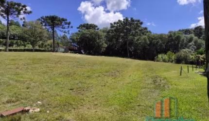 Chácara / sítio com 3 quartos à venda na Rota Do Sol - RST 453, 00, Fazenda Souza, Caxias do Sul por R$ 960.000