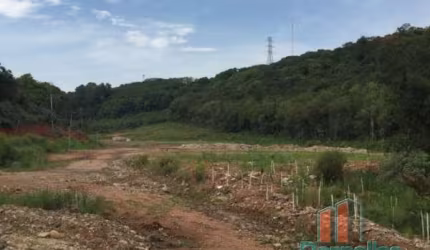 Terreno à venda na Rodovia RSC-122, Forqueta, Caxias do Sul por R$ 3.500.000