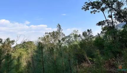Chácara / sítio à venda na Estrada Santa Lucia x Vila Cristina, 01, Zona Rural, Caxias do Sul por R$ 540.000