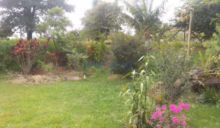 Fazenda à venda na Alameda Carlos de Carvalho Vieira Braga, km 5,5, Reforma Agrária, Valinhos por R$ 5.576.000
