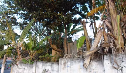 Terreno comercial à venda na Rua Doutor Henrique Augusto Vogel, 9, Jardim São Pedro, Campinas por R$ 320.000
