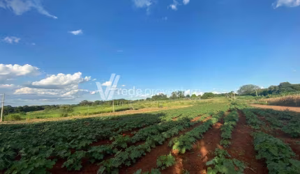 Terreno comercial à venda na Armando Botasso, s/nº, Betel, Paulínia por R$ 10.600.000