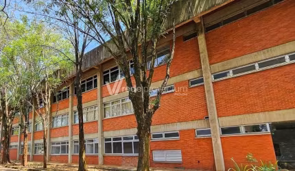 Terreno comercial à venda na Avenida Professor Benedicto Montenegro, 419, Betel, Paulínia por R$ 32.000.000