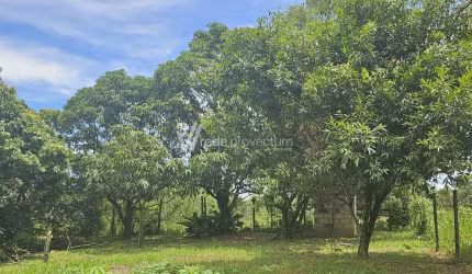 Chácara / sítio com 3 quartos à venda na Estrada 1 Chácaras Jardim Replan, 540, Itapavussu, Cosmópolis, 101 m2 por R$ 400.000